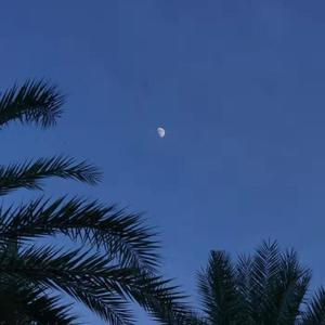 大狼姁的H文系列小说
