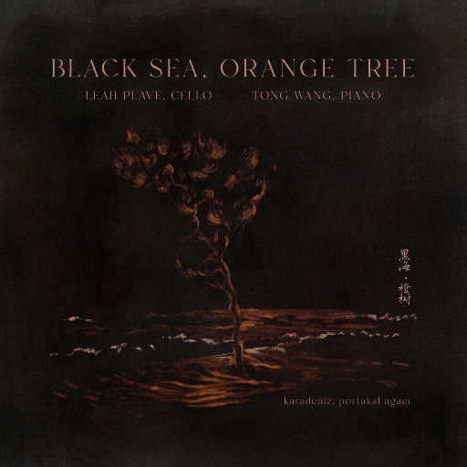 大狼姁的H文系列小说
